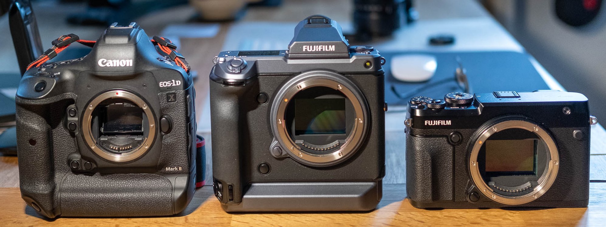 Fujifilm GFX 100 im Vergleich mit Canon EOS 1DX und Fujifilm GFX 50R